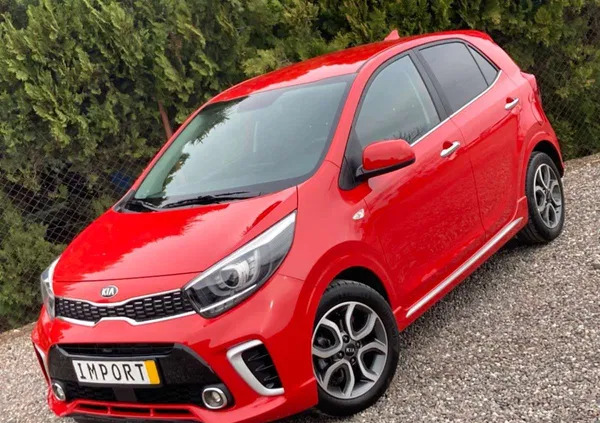 kia Kia Picanto cena 44900 przebieg: 31000, rok produkcji 2019 z Dobre Miasto